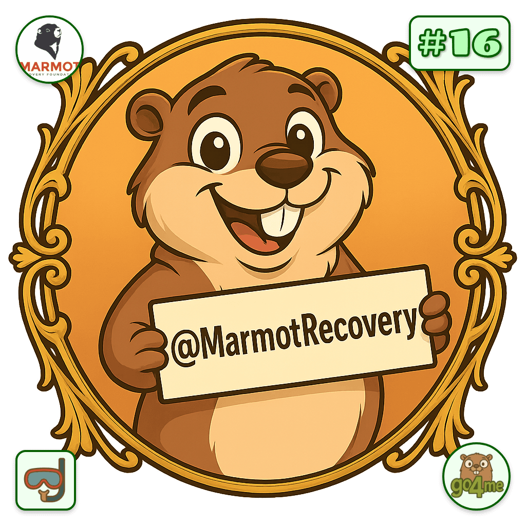 MarmotRecovery avatar